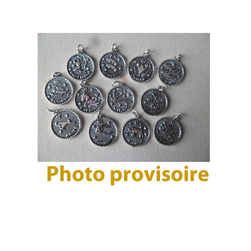 Breloque signe du zodiaque Breloque signe du zodiaque